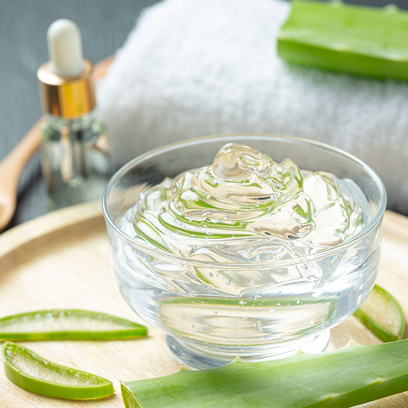 Aloe Vera Dnevnik Lepote